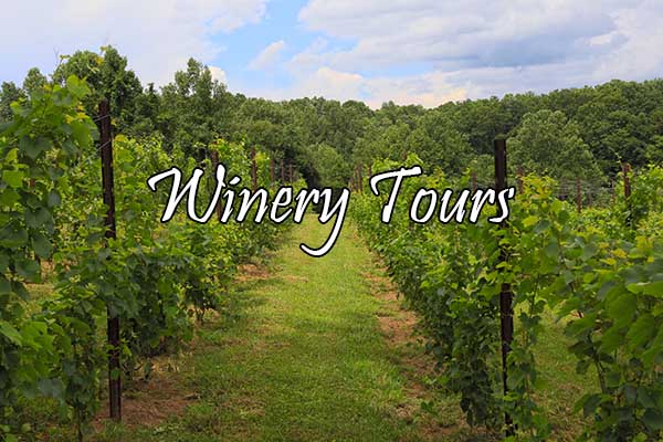 Winery Tours with The Van in Black