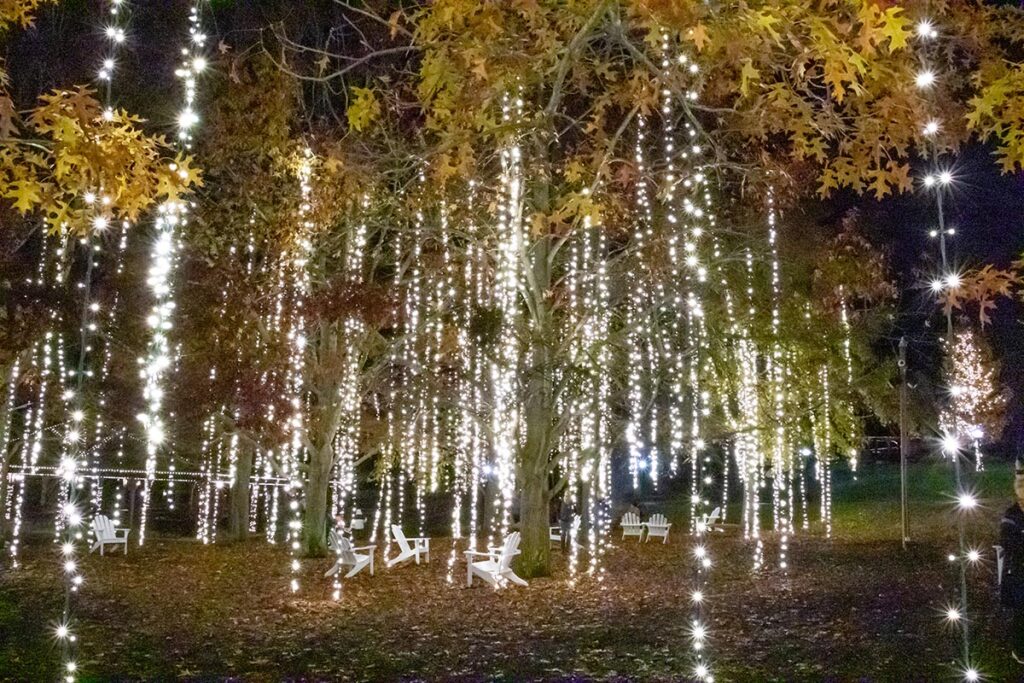 Lights at Antler Hill Village