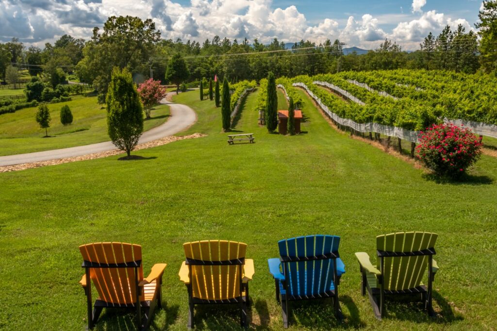 Overmountain Vineyards