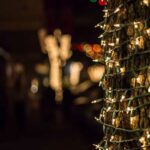 Holiday Lights and Wine Tour