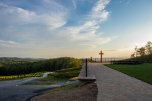 Point Lookout Vineyards