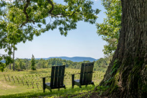 Marked Tree Vineyard