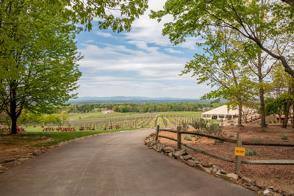 North Carolina Wine Tours