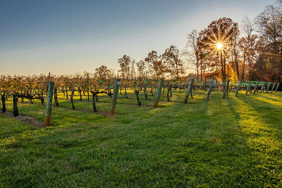 Yadkin Valley Autumn