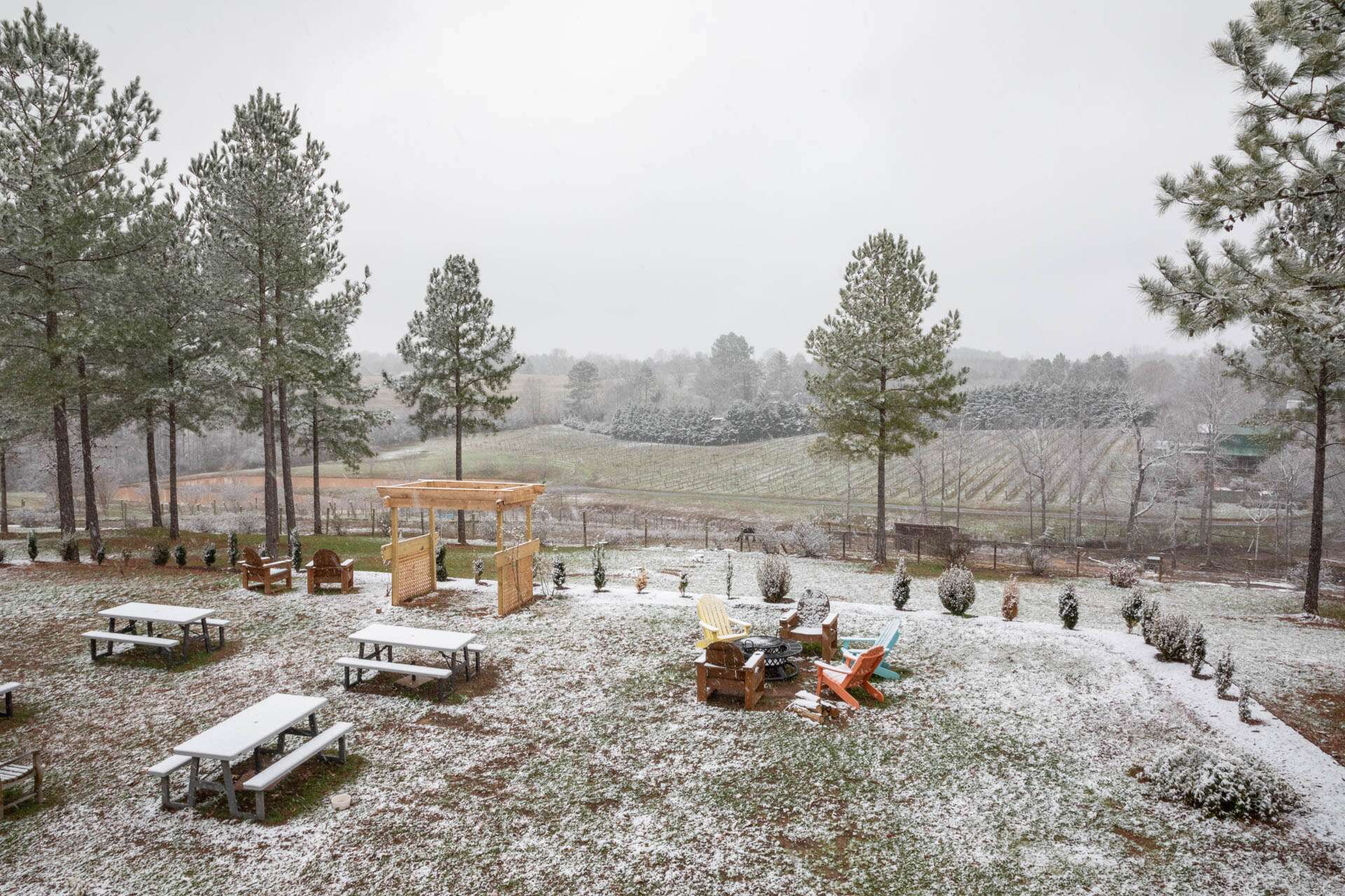 Winter at Parker-Binns Vineyard