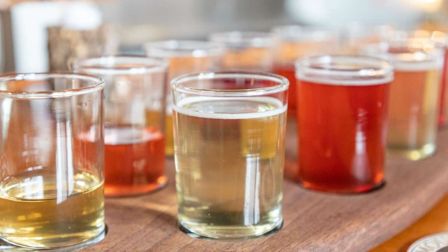 Asheville Cider Tours Van in Black