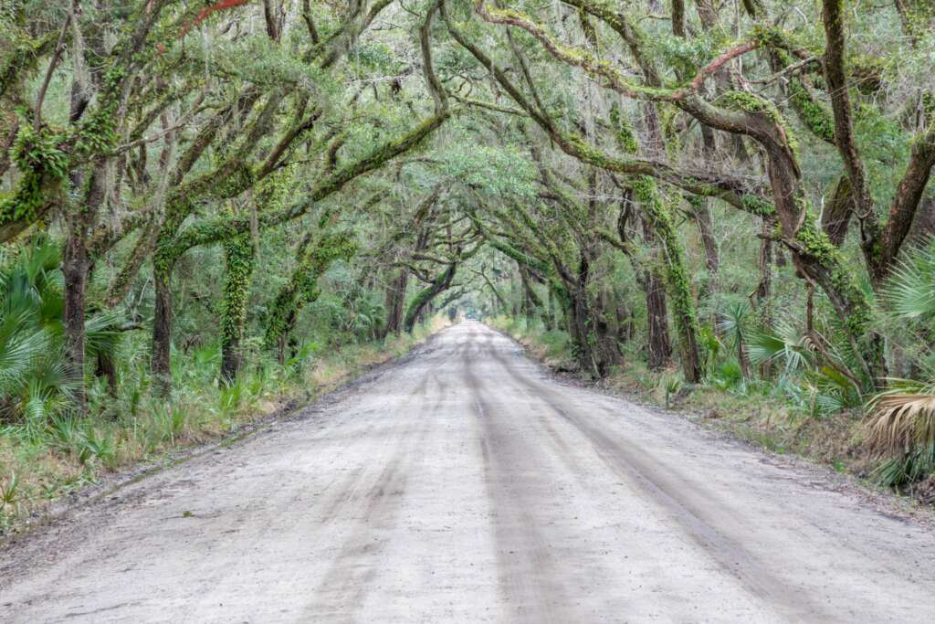 Setting out on the open road...