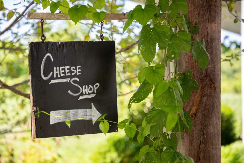 Cheese Tour