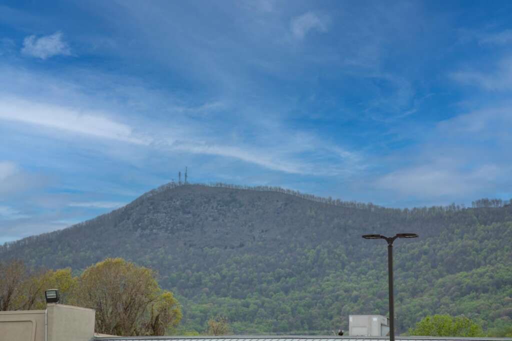 Spring bud break differences at different elevations in WNC wine country