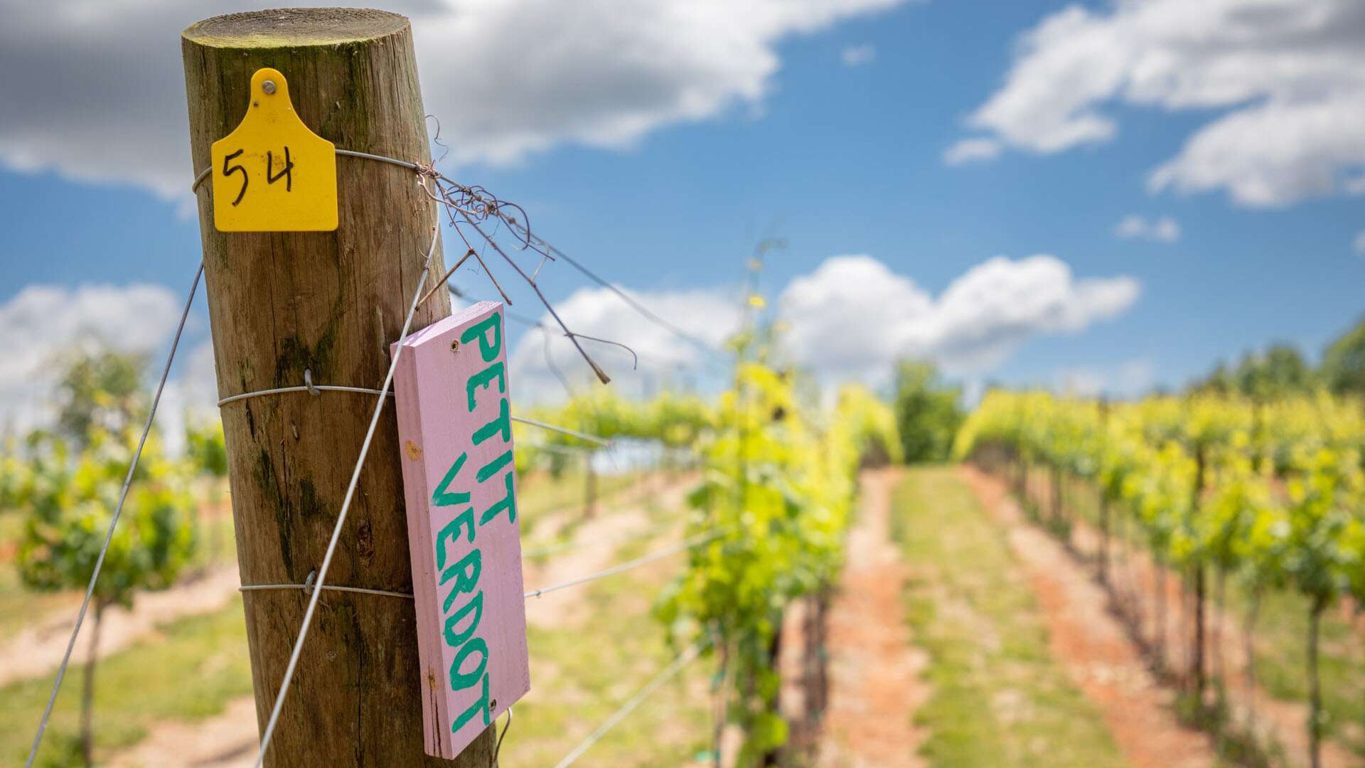 Asheville Wine Tours