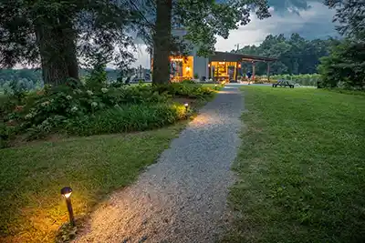 Marked Tree Vineyard