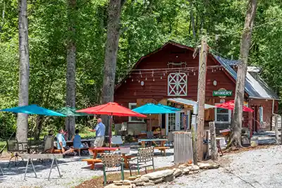 Sawyer Springs Winery